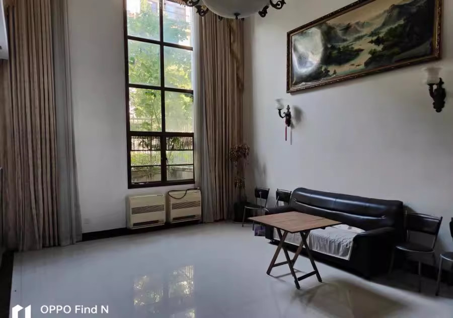 （獨(dú)棟精裝別墅）麓山戀迪亞溪谷山莊法拍房A706棟101房